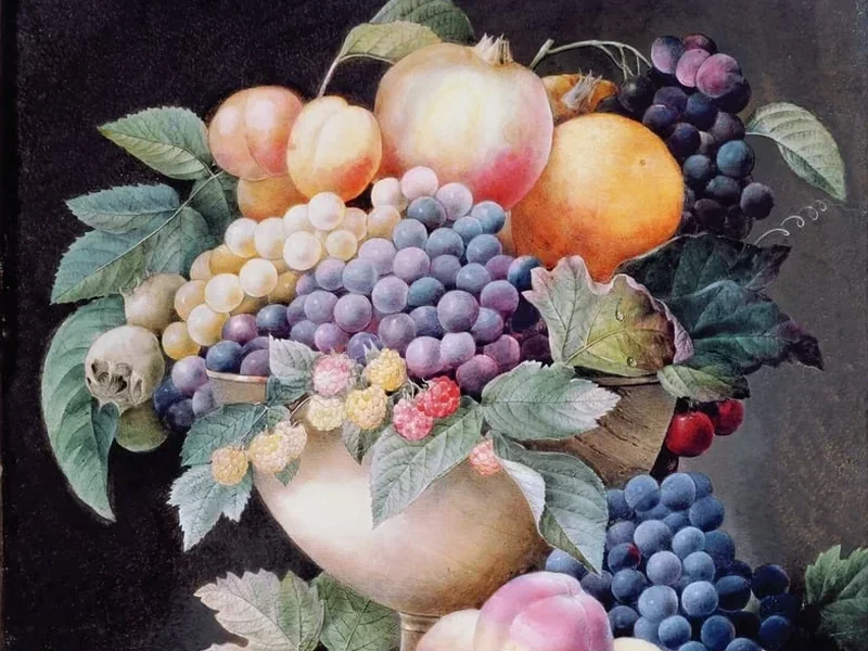 1759-Pierre-Joseph Redouté - Frutta - Musee National, Compiegne